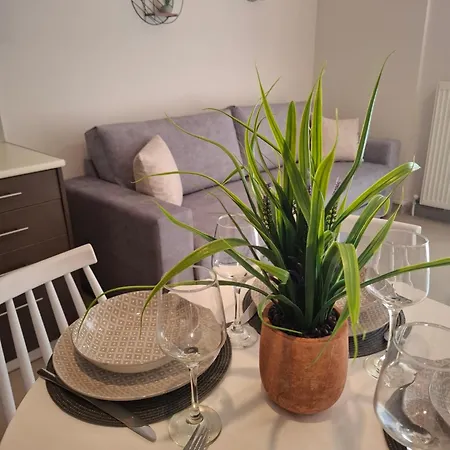 Bright Elegance #dterra Apartments# アパート テッサロニキ